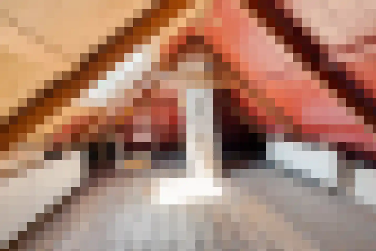Boppelâns 6 A Warns thumbnail 19