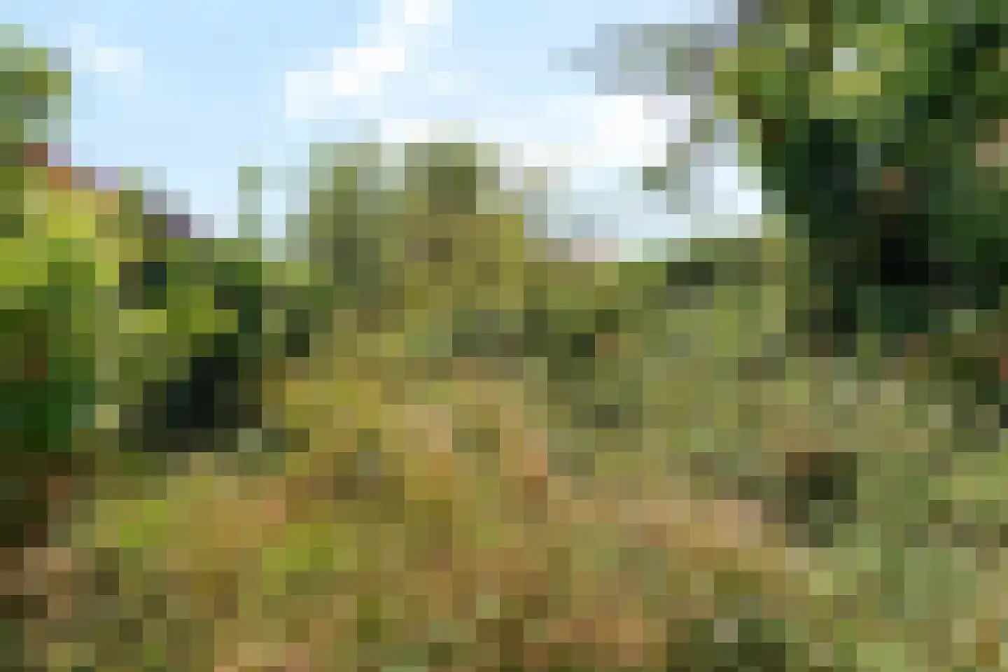 Boppelâns 6 A Warns thumbnail 25