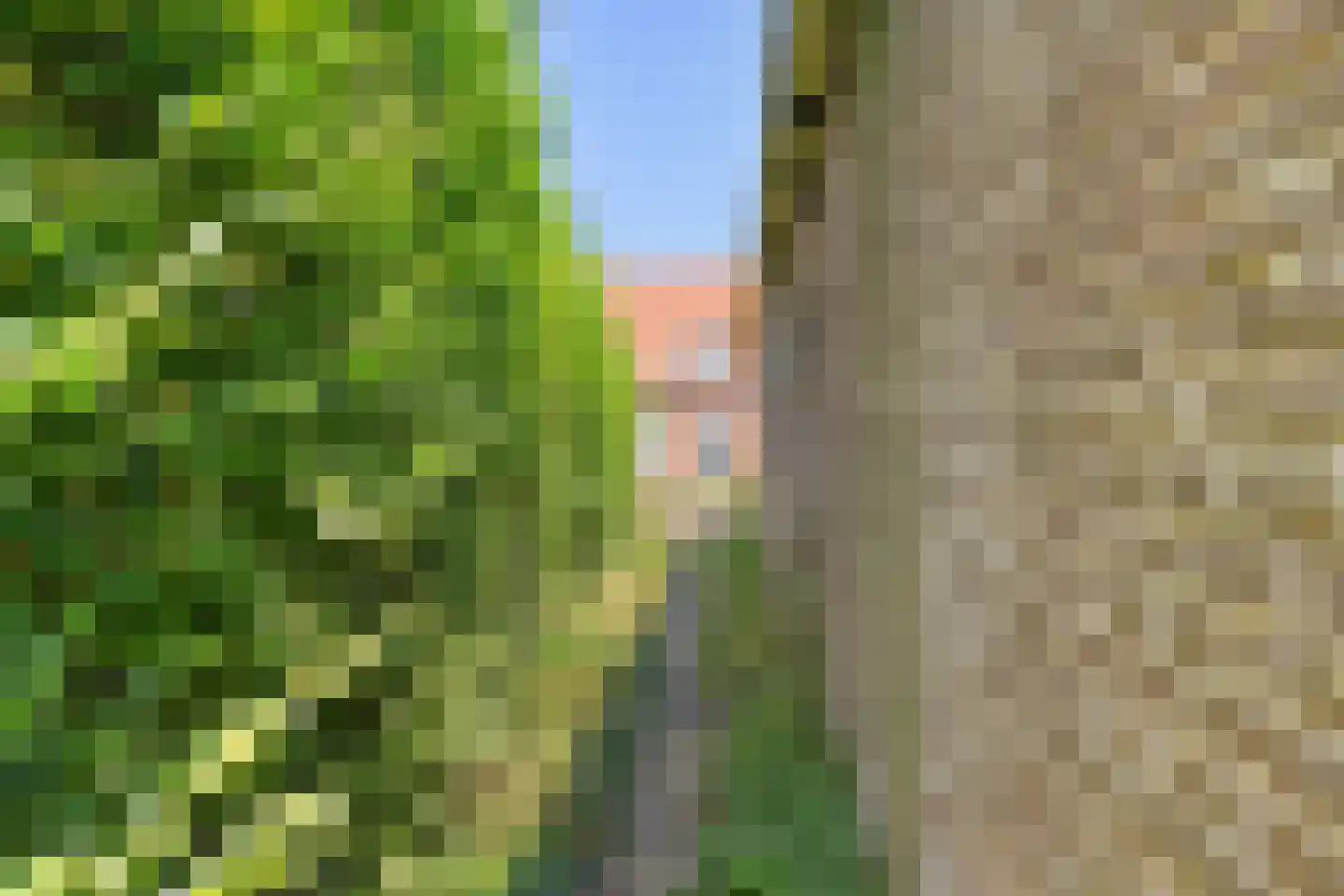 Boppelâns 6 A Warns thumbnail 26