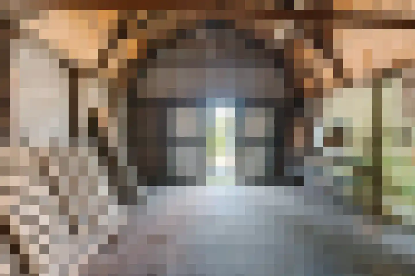 Boppelâns 6 A Warns thumbnail 35