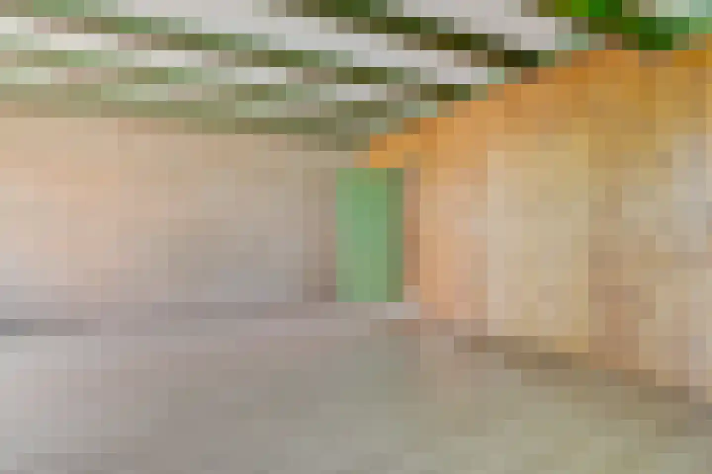 Boppelâns 6 A Warns thumbnail 8