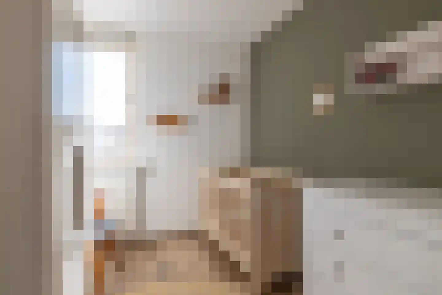 Boppelâns 60 Warns thumbnail 11