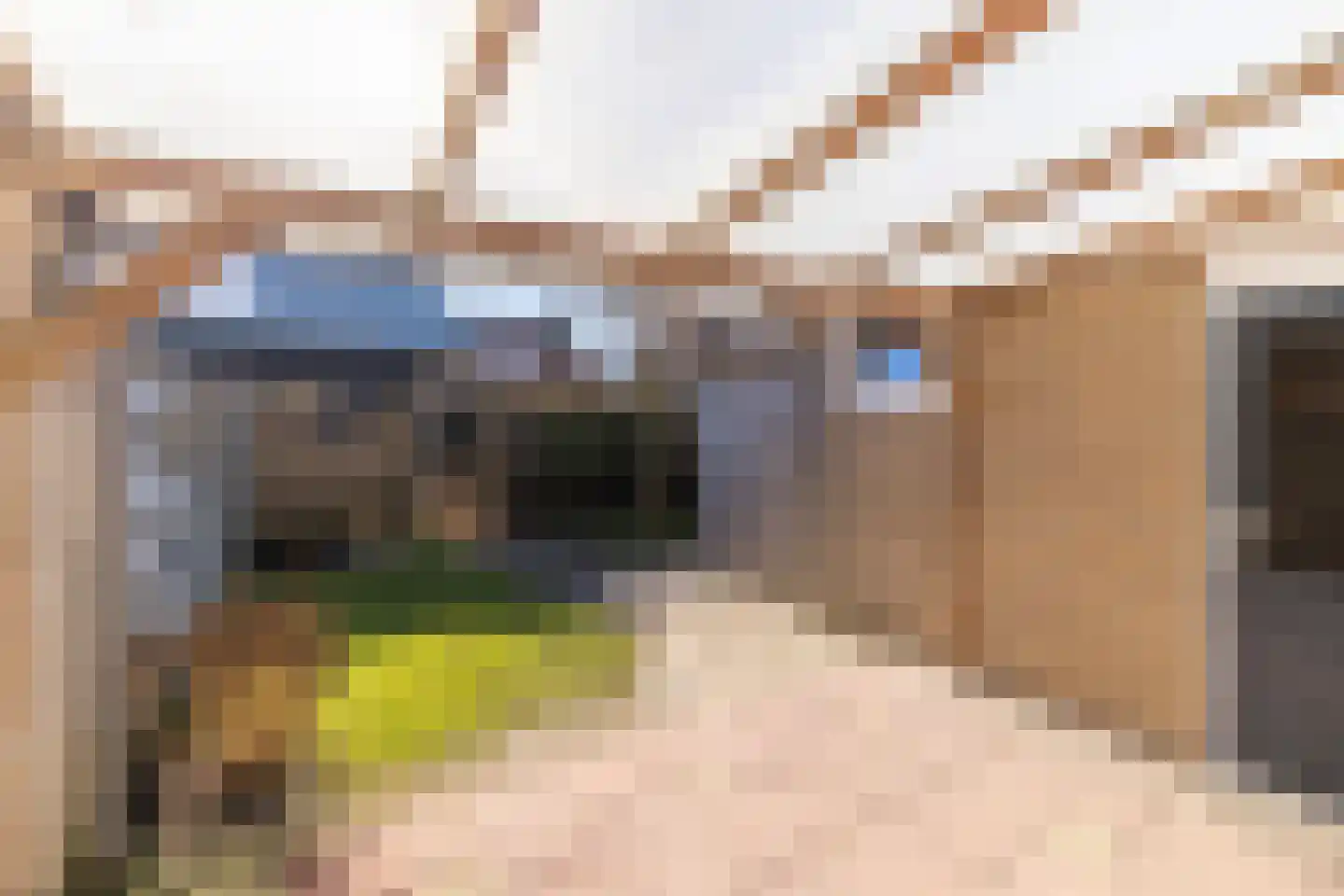 Boppelâns 60 Warns thumbnail 26