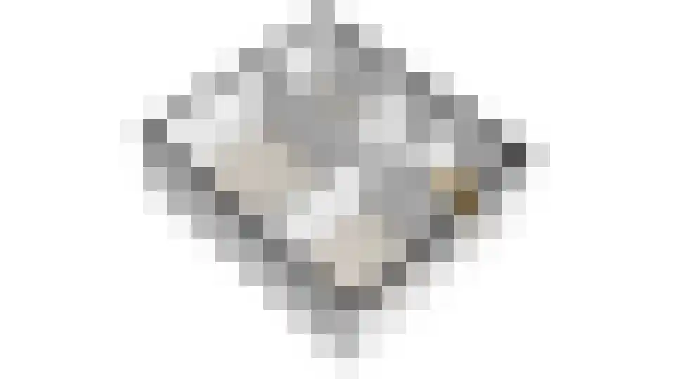 Boppelâns 60 Warns thumbnail 32