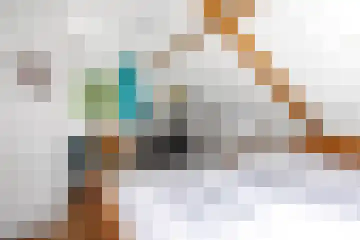 Boppelâns 7 Warns thumbnail 17