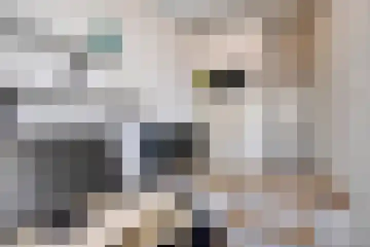 Boppelâns 7 Warns thumbnail 24