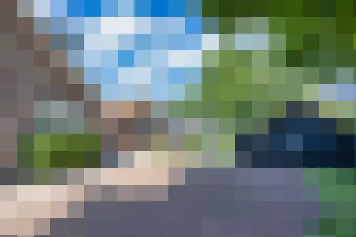 Boppelâns 7 Warns thumbnail 26