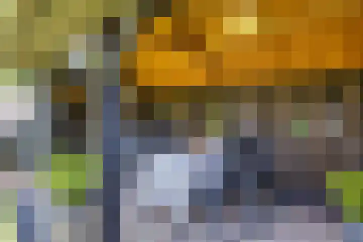 Boppelâns 7 Warns thumbnail 31