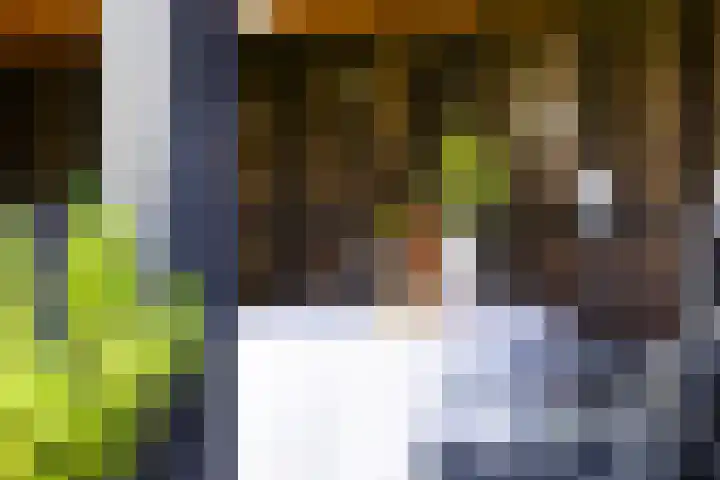 Boppelâns 7 Warns thumbnail 32