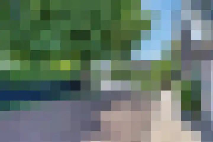 Boppelâns 7 Warns thumbnail 34