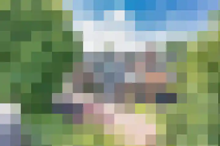 Boppelâns 7 Warns thumbnail 35