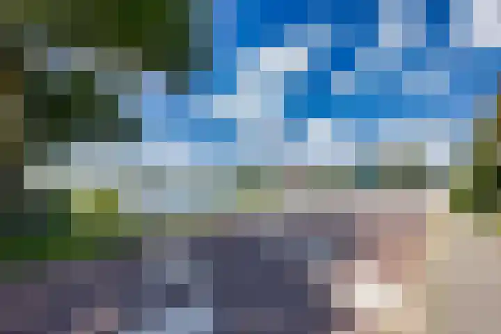 Boppelâns 7 Warns thumbnail 40