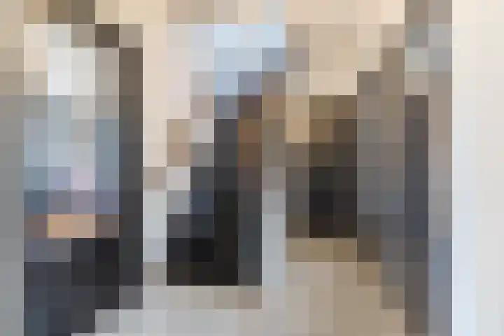 Borchgang 21 Tiel thumbnail 11