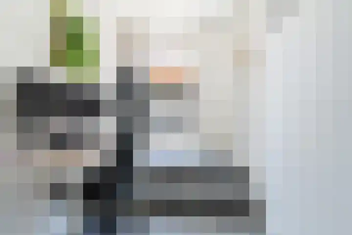 Borchgang 21 Tiel thumbnail 14