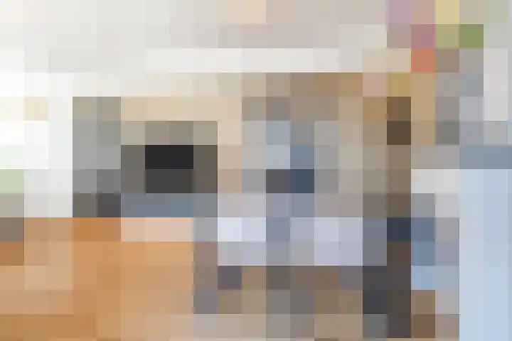 Borchgang 21 Tiel thumbnail 18