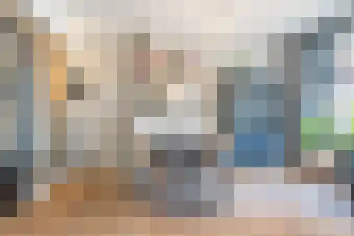 Borchgang 21 Tiel thumbnail 19