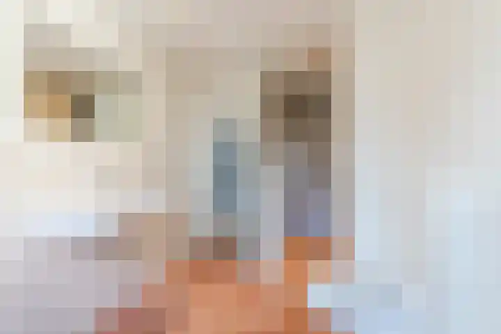 Borchgang 21 Tiel thumbnail 25