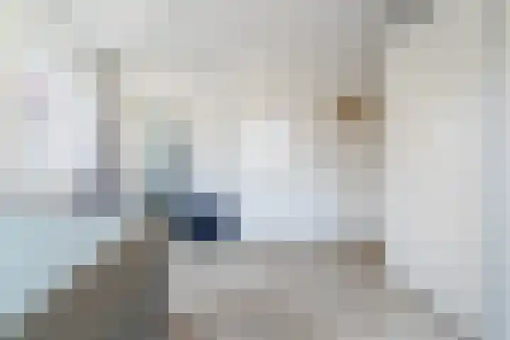 Borchgang 21 Tiel thumbnail 29