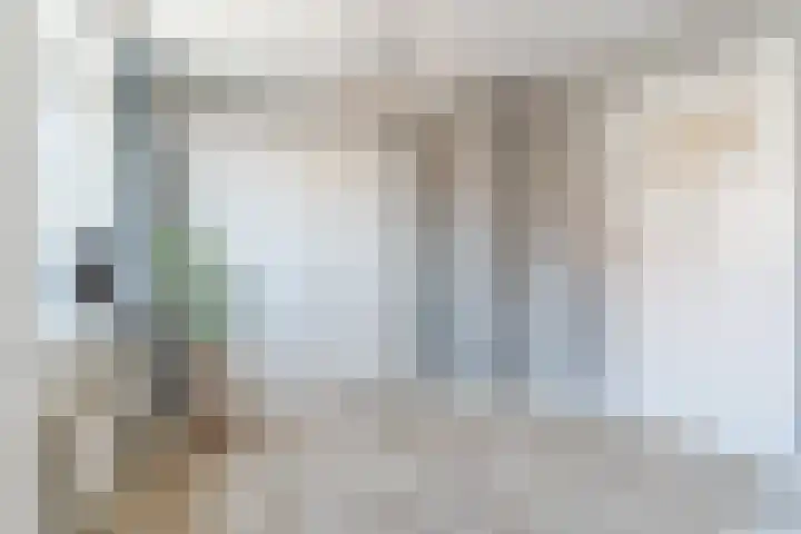 Borchgang 21 Tiel thumbnail 33