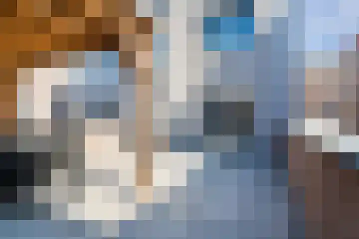 Borchgang 21 Tiel thumbnail 7