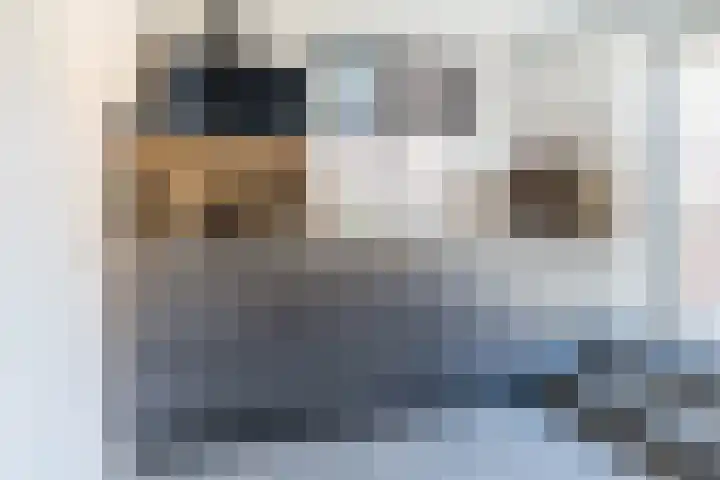 Borchgang 21 Tiel thumbnail 8