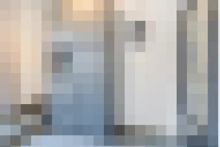 Borchgang 21 Tiel thumbnail 9