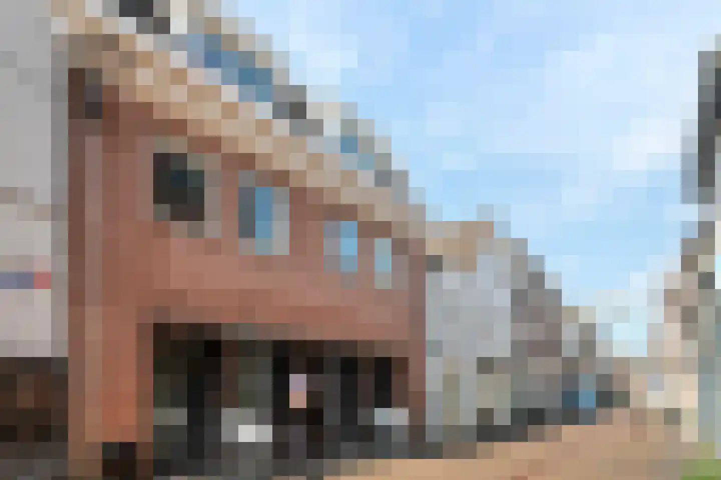 Borchgang 27 Tiel
