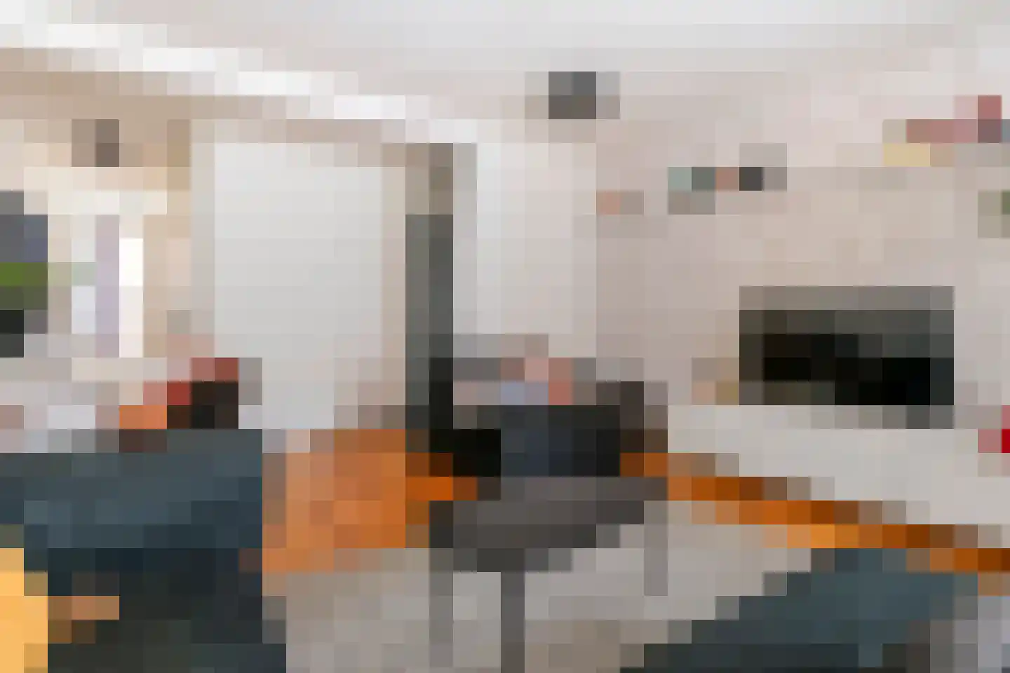 Borchgang 27 Tiel thumbnail 13