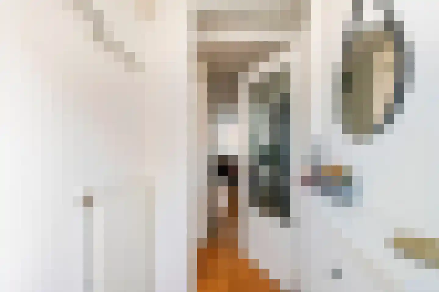 Borchgang 27 Tiel thumbnail 20