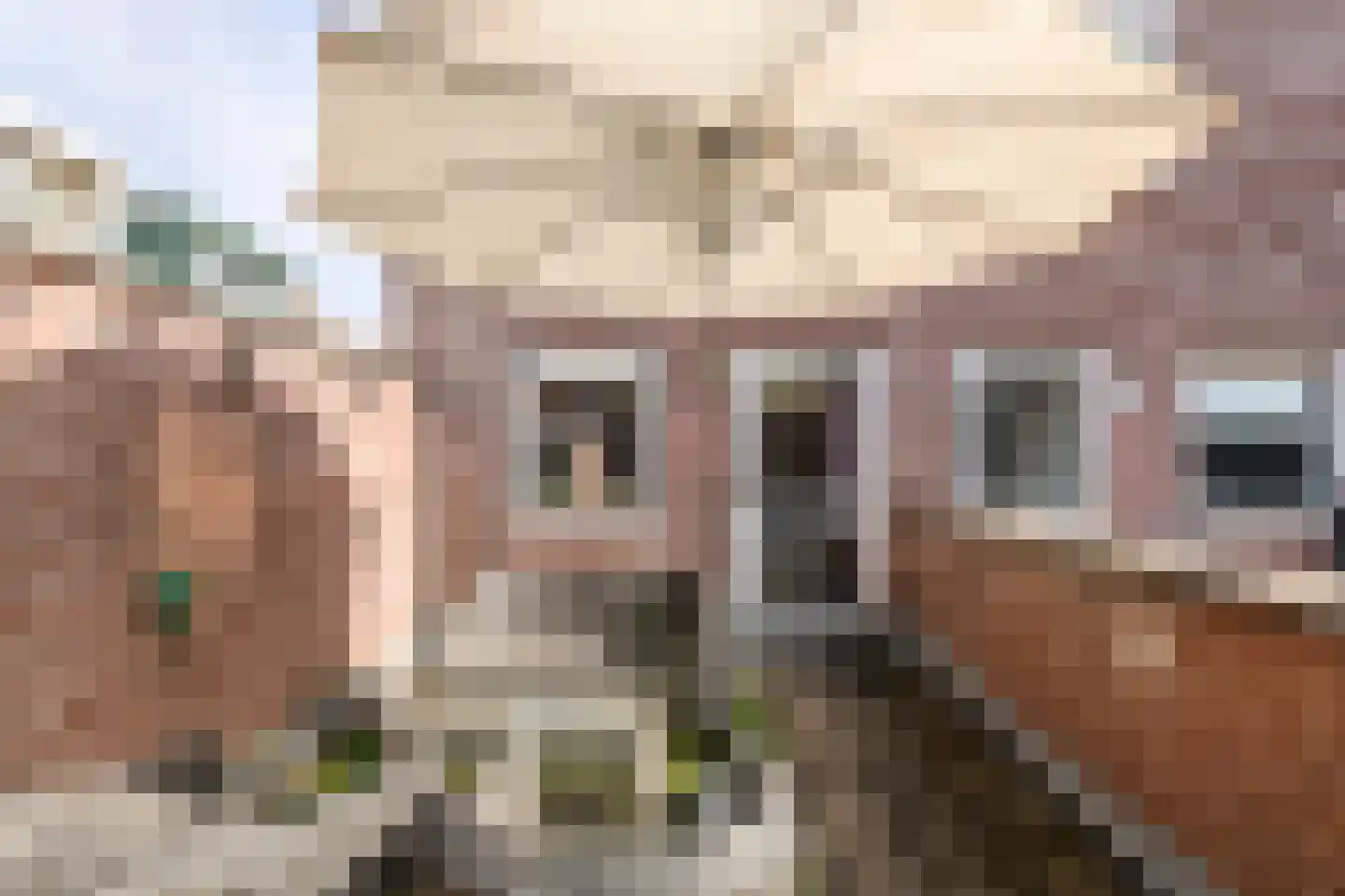 Borchgang 27 Tiel thumbnail 34