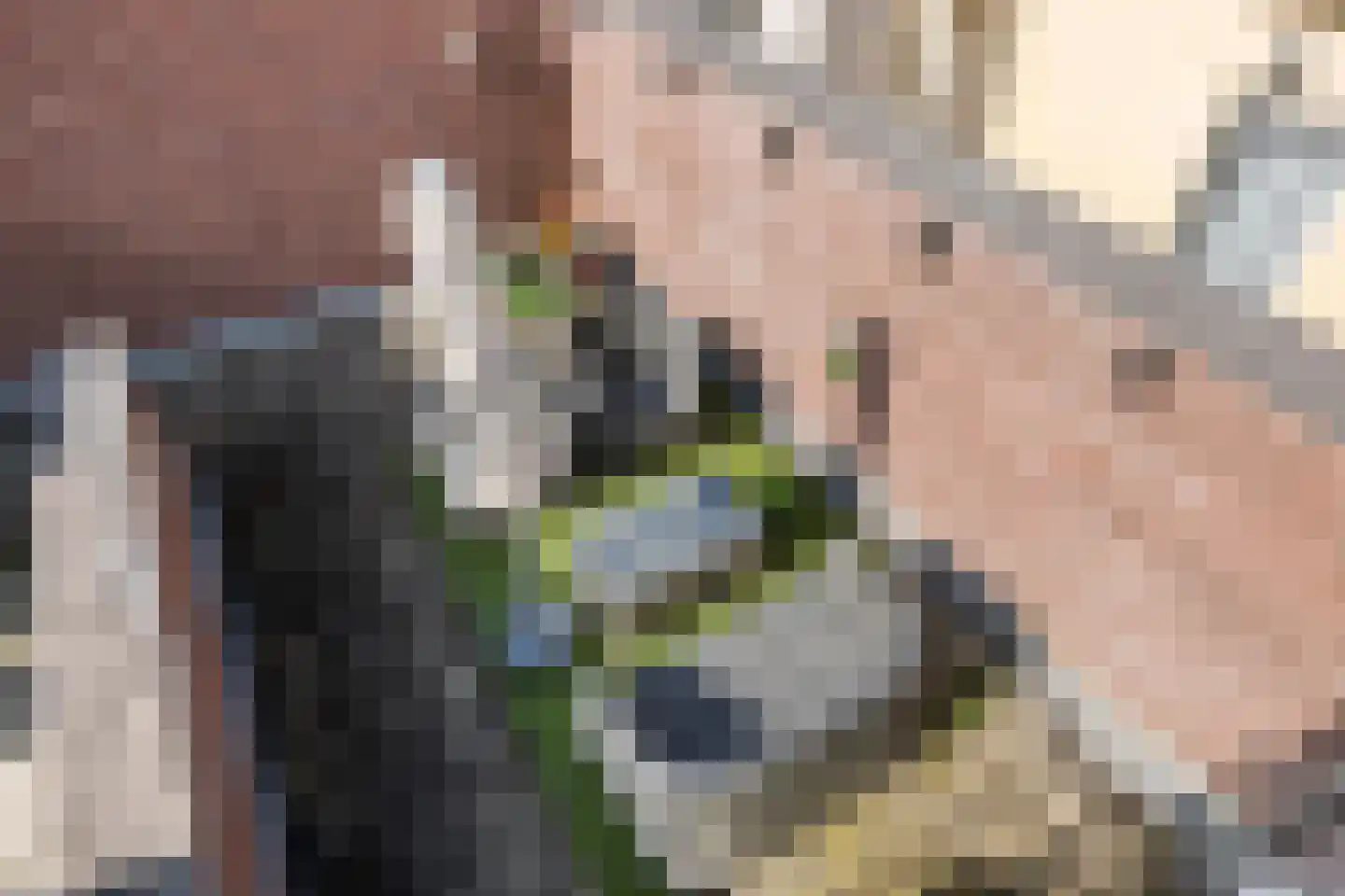 Borchgang 27 Tiel thumbnail 35