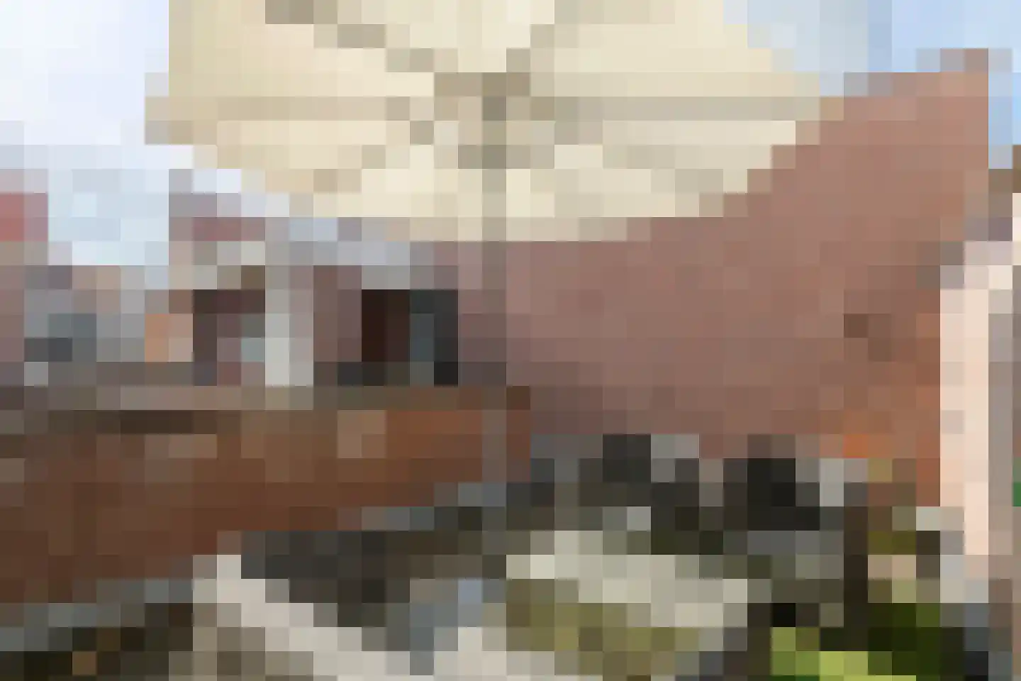 Borchgang 27 Tiel thumbnail 36