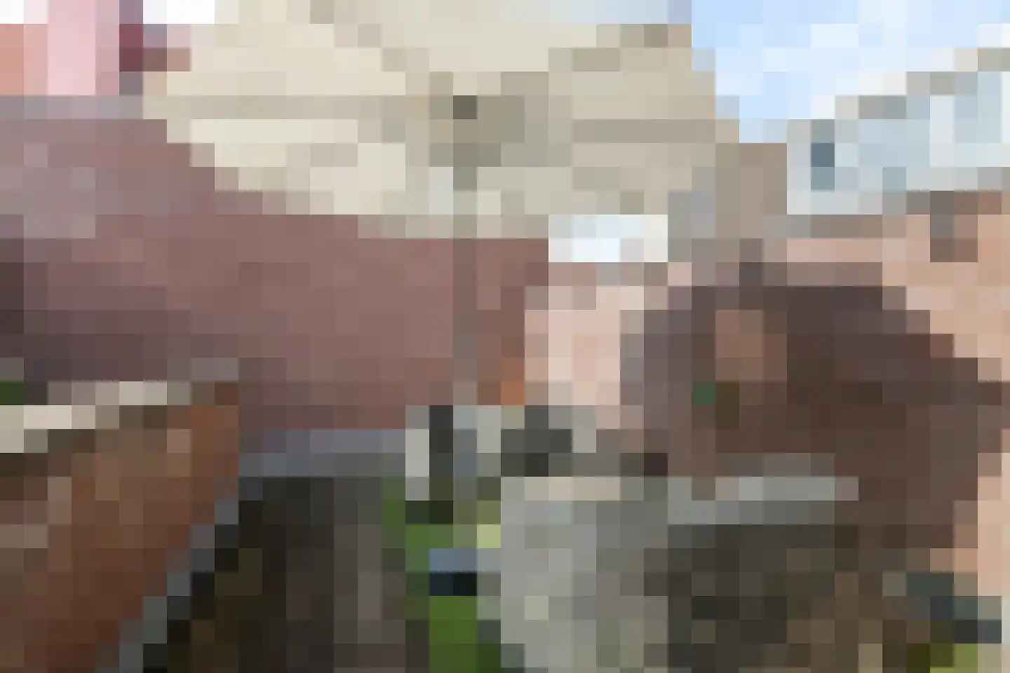 Borchgang 27 Tiel thumbnail 37