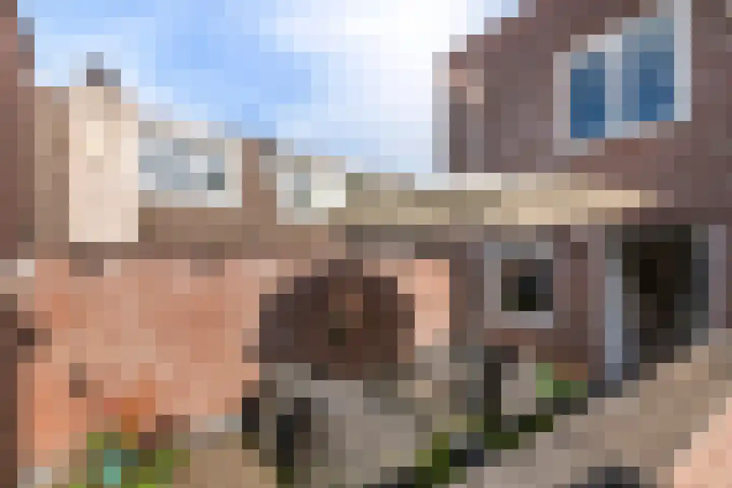 Borchgang 27 Tiel thumbnail 38