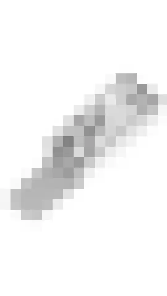 Borchgang 27 Tiel thumbnail 40