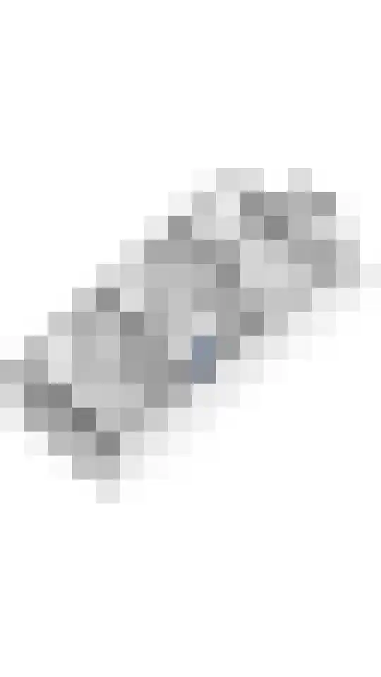 Borchgang 27 Tiel thumbnail 42