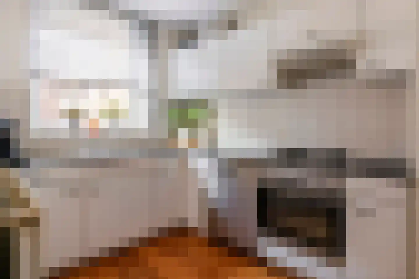 Borchgang 27 Tiel thumbnail 5