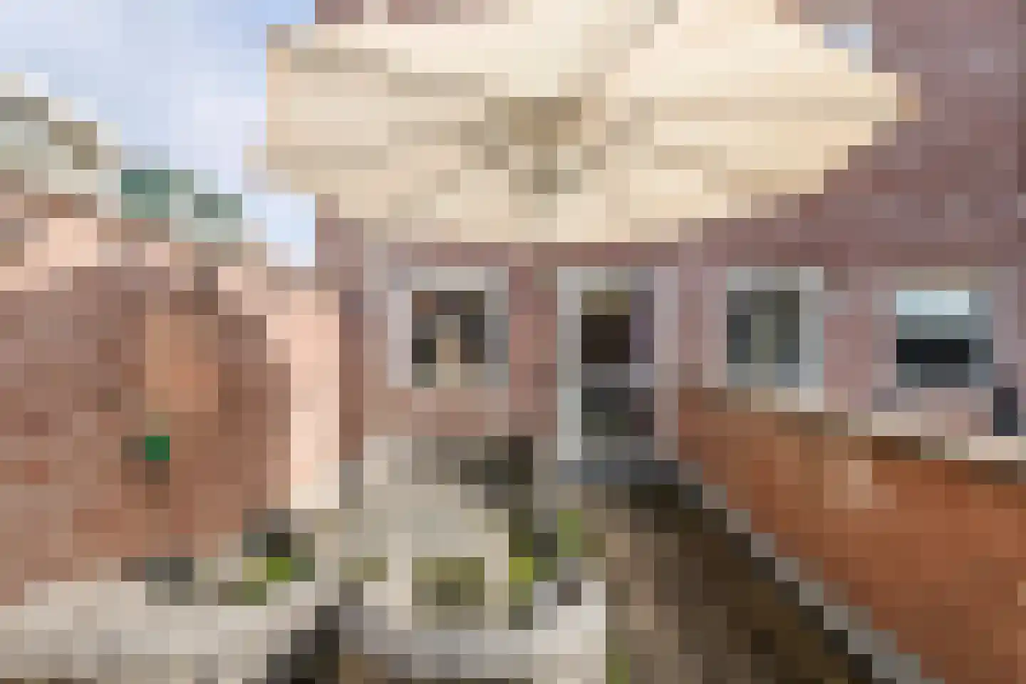 Borchgang 27 Tiel thumbnail 8