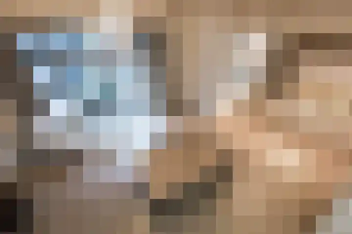 Borchgrave 3 A Sint-Oedenrode thumbnail 12