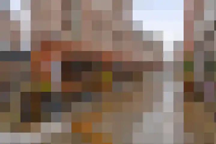 Borchgrave 3 A Sint-Oedenrode thumbnail 23