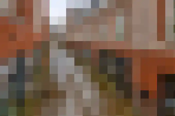 Borchgrave 3 A Sint-Oedenrode thumbnail 25