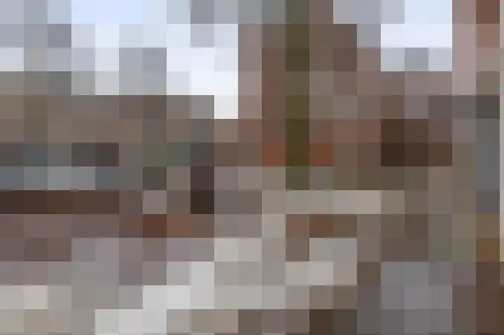 Borchgrave 3 A Sint-Oedenrode thumbnail 27