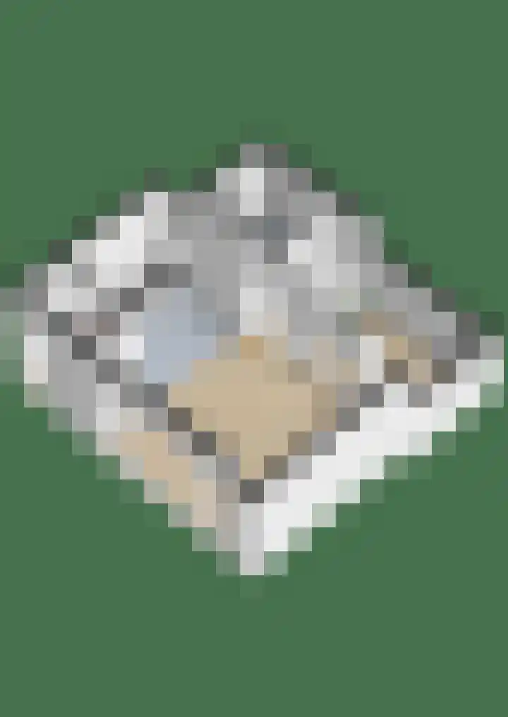 Borchgrave 3 A Sint-Oedenrode thumbnail 31