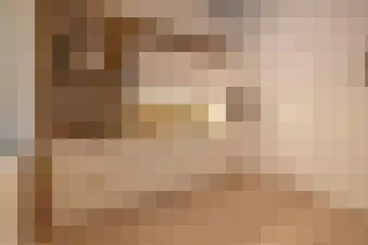 Borchgrave 3 A Sint-Oedenrode thumbnail 9