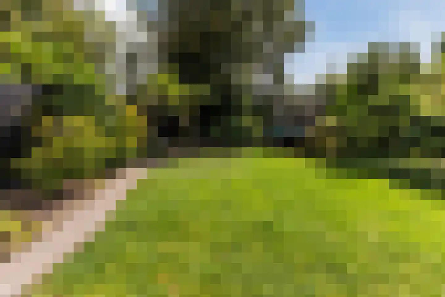 Borchgreve 14 Nuenen thumbnail 19