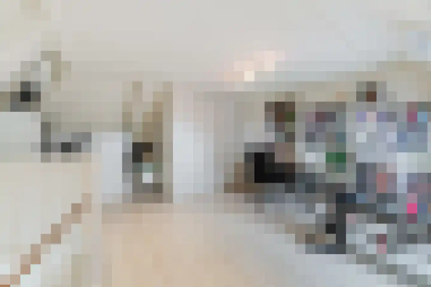 Borchgreve 14 Nuenen thumbnail 33