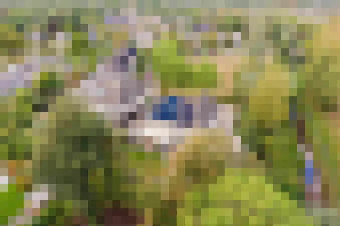Borchgreve 14 Nuenen thumbnail 34