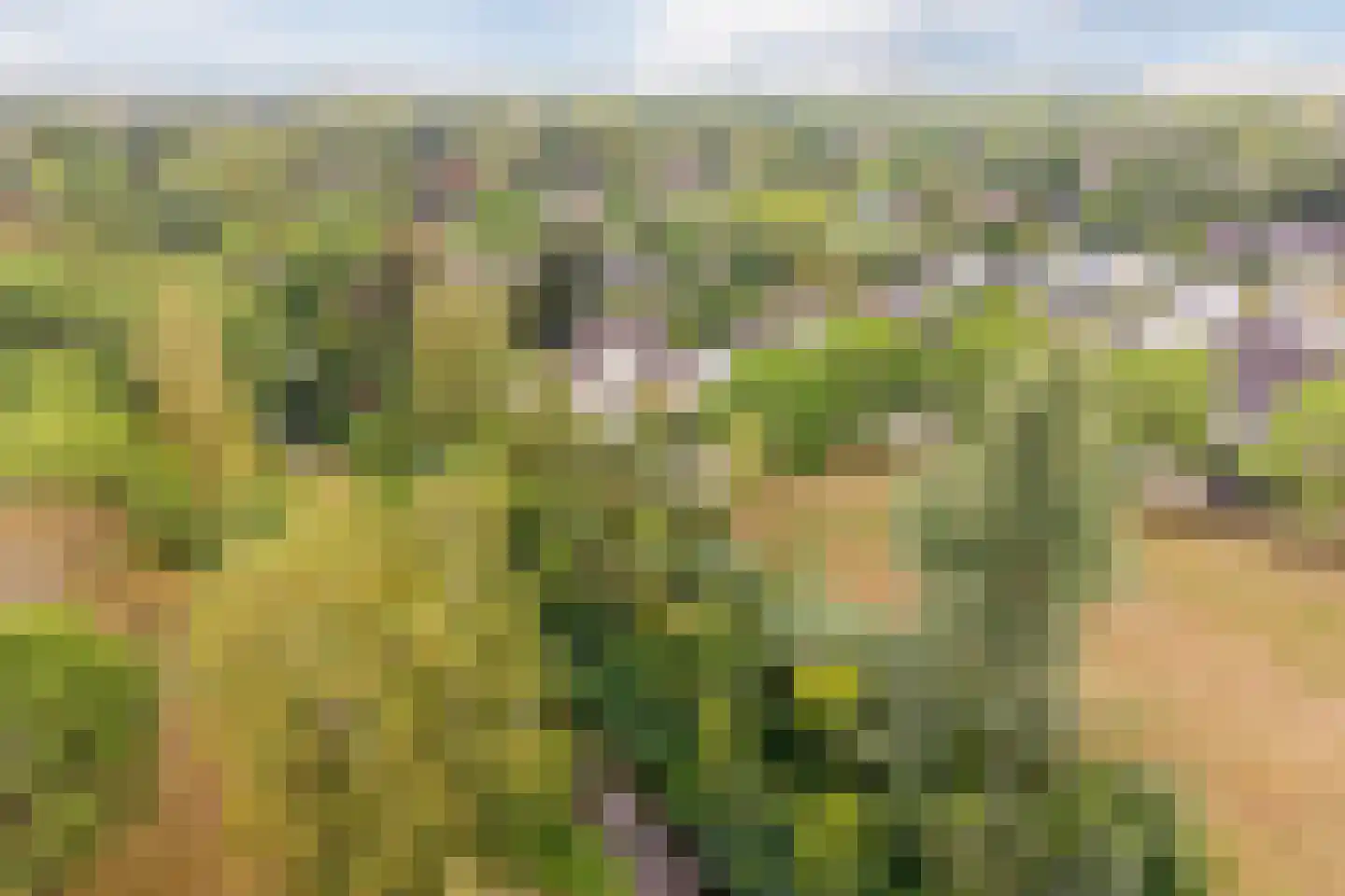 Borchgreve 14 Nuenen thumbnail 35