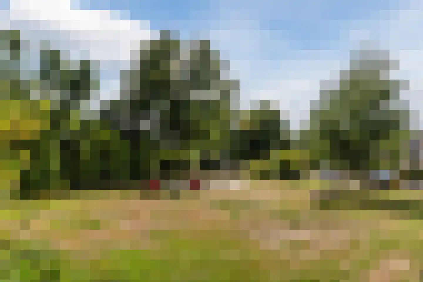 Borchgreve 14 Nuenen thumbnail 36
