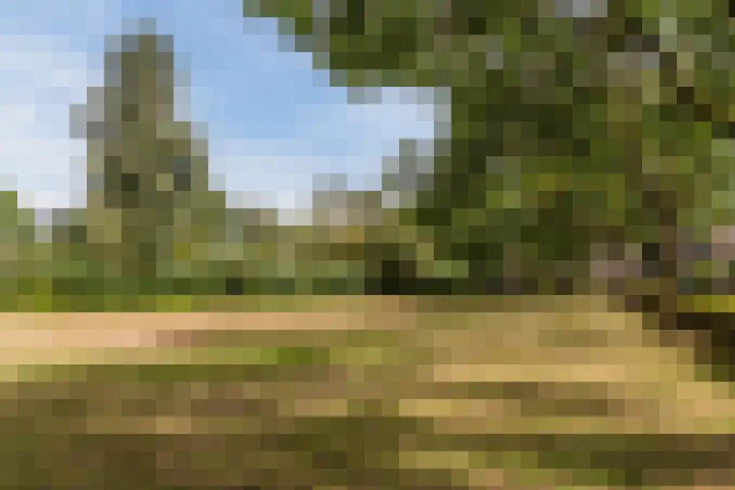 Borchgreve 14 Nuenen thumbnail 37